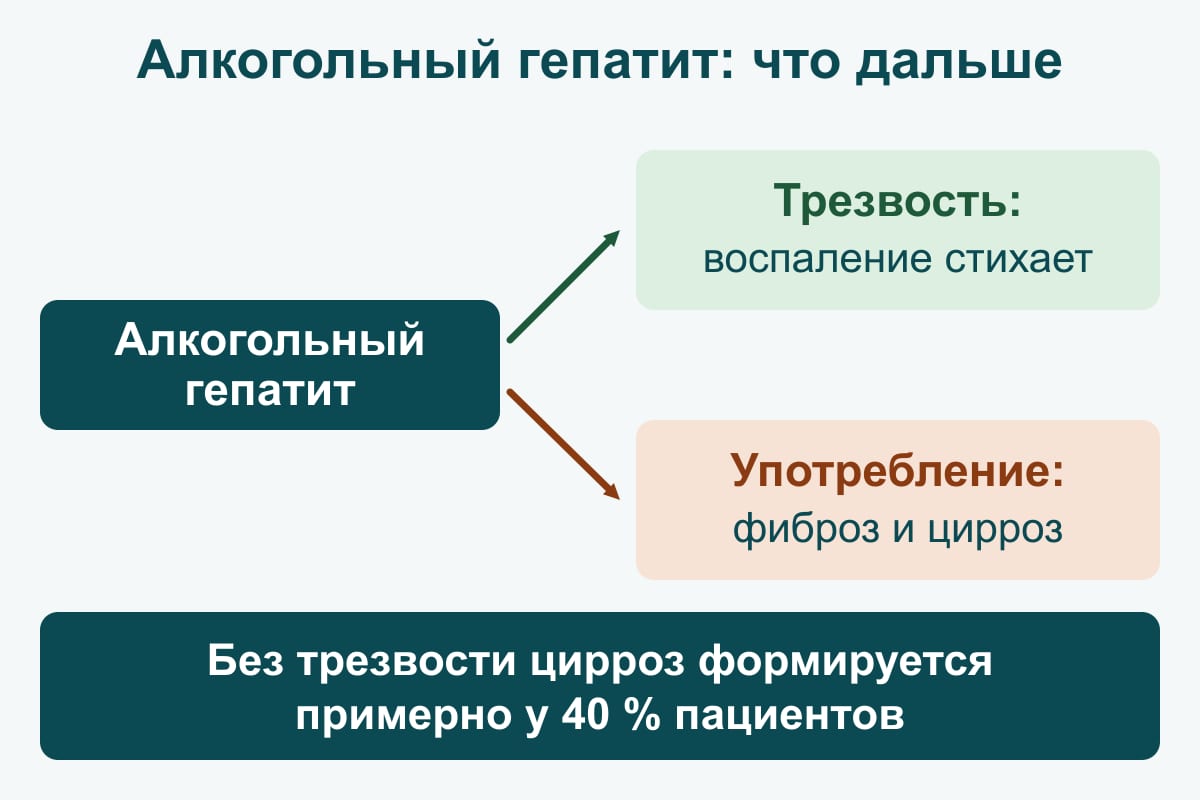 Схема-развилка: алкогольный гепатит — при трезвости воспаление стихает, при продолжении употребления развиваются фиброз и цирроз
